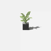 geo cube planter