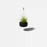 mason hanging kona bowl planter