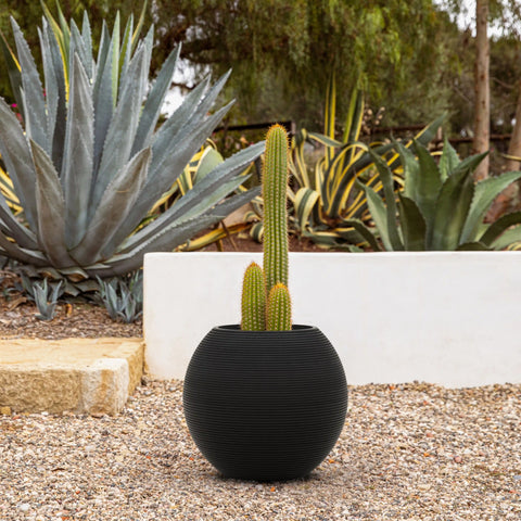 sphere planter