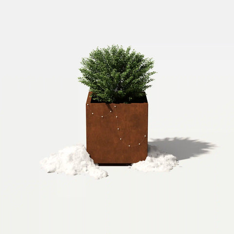 corten cube planter