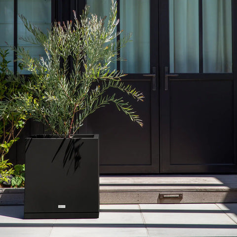 block cube planter