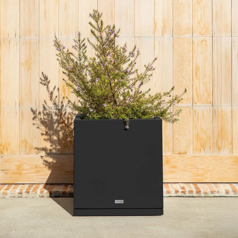 block cube planter