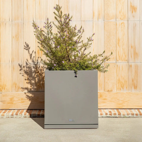 block cube planter