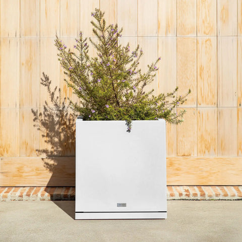 block cube planter