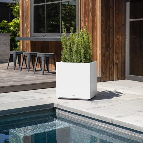 block cube planter