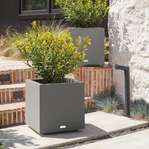 block cube planter