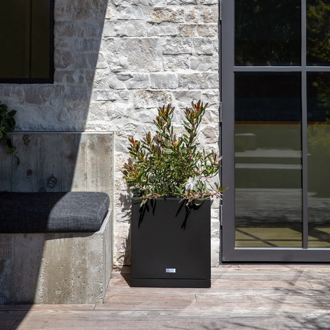block cube planter