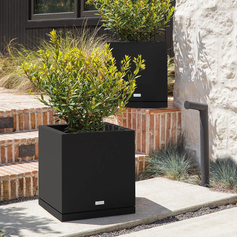 block cube planter