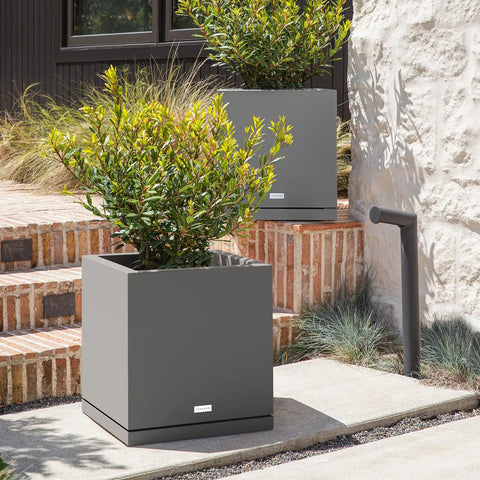 block cube planter