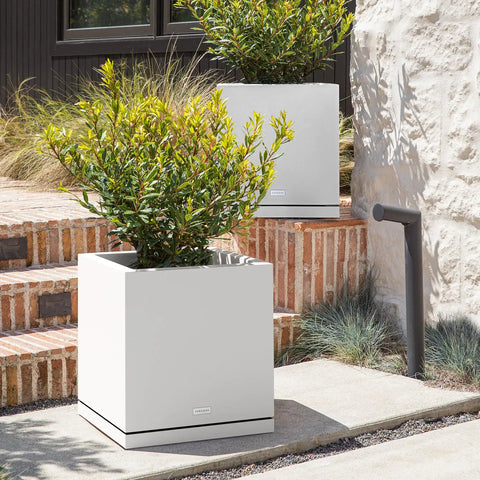 block cube planter