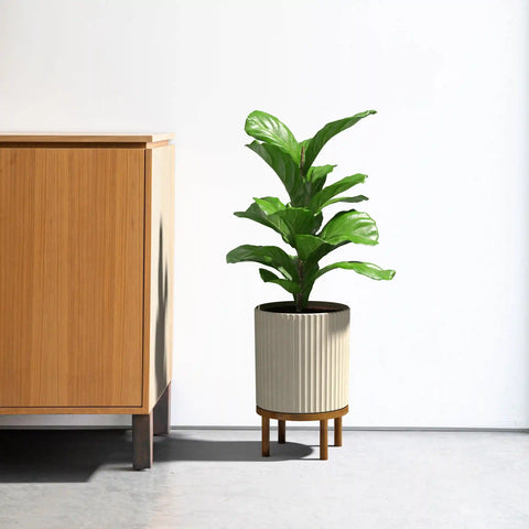 demi raised planter