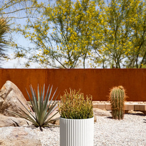 demi planter