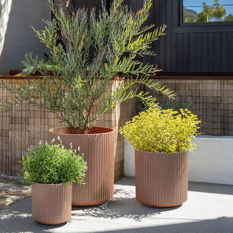 demi planter trio