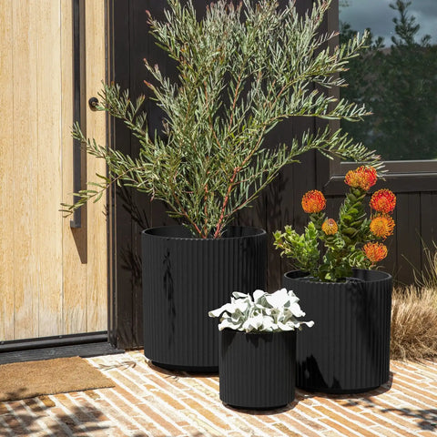 demi planter trio