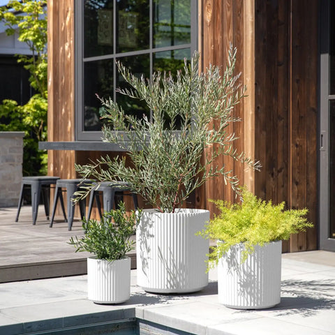 demi planter trio