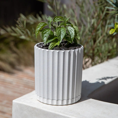 demi six planter