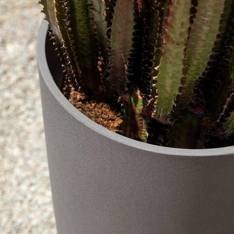 mason selena planter