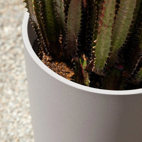 mason selena planter
