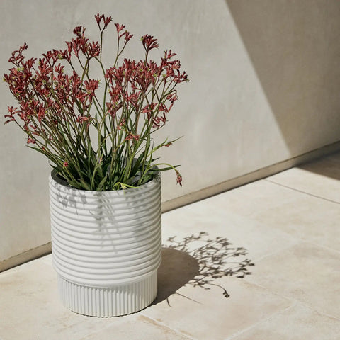 mod medium planter