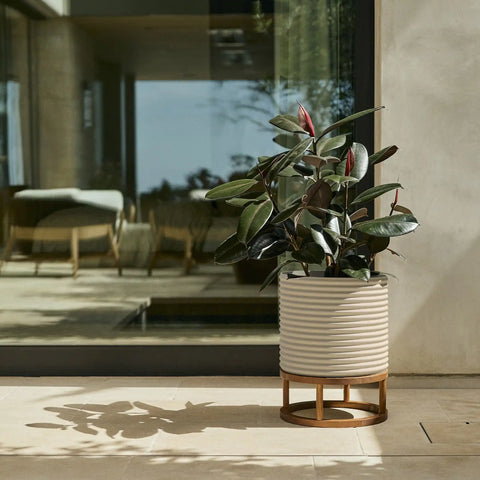 mod short raised