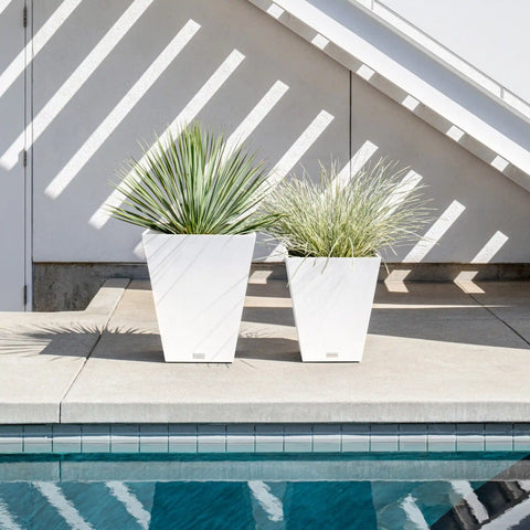 pure nobleton planter