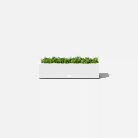 block trough planter