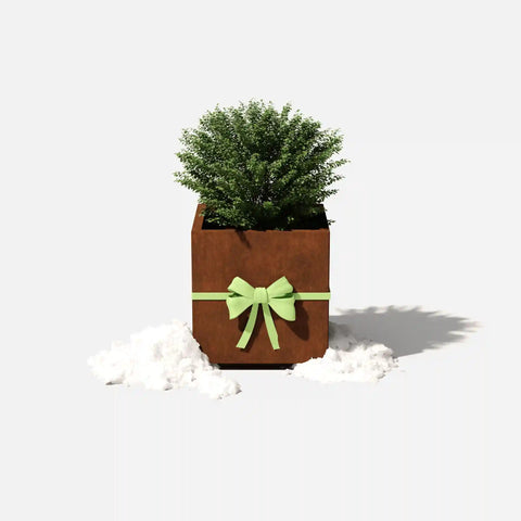 corten cube planter