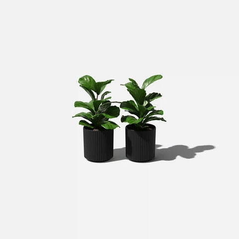 demi planter