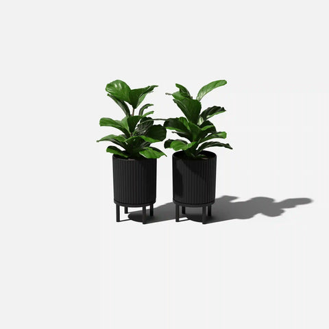 demi raised planter