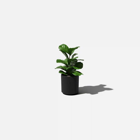 demi planter
