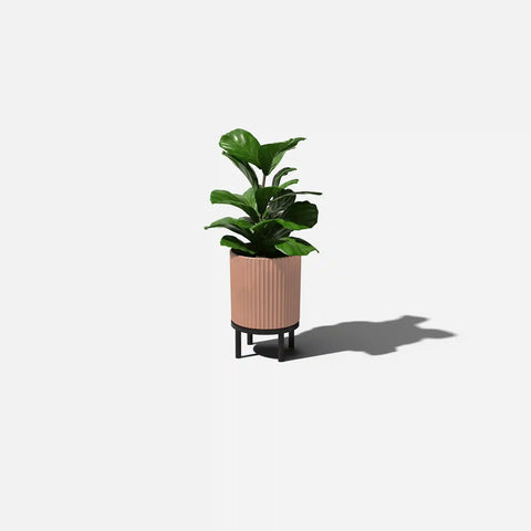 demi raised planter