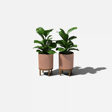 demi raised planter