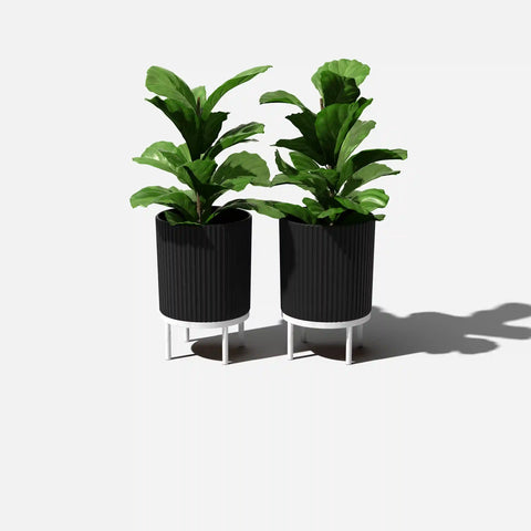 demi raised planter