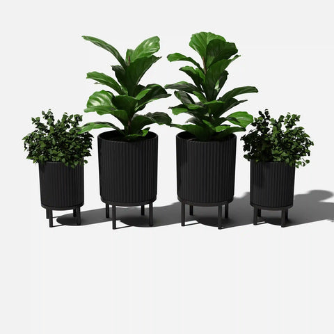 demi raised duo