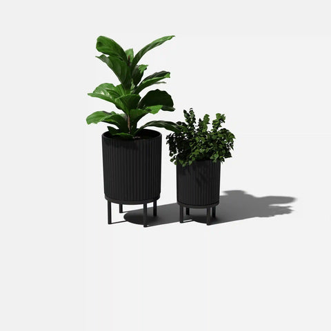 demi raised duo