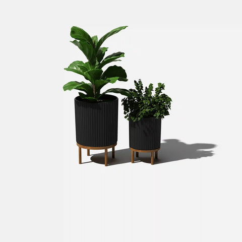 demi raised duo