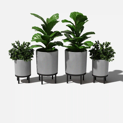 demi raised duo