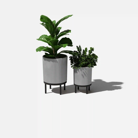 demi raised duo