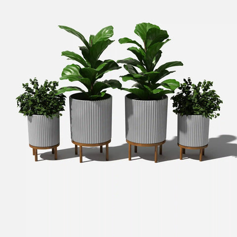 demi raised duo