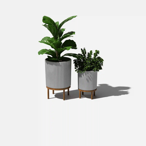 demi raised duo