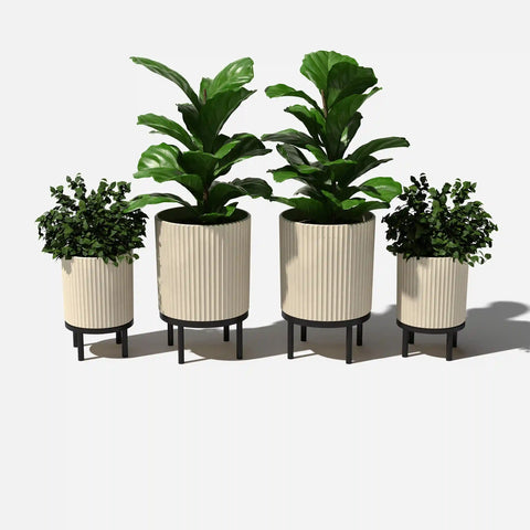 demi raised duo