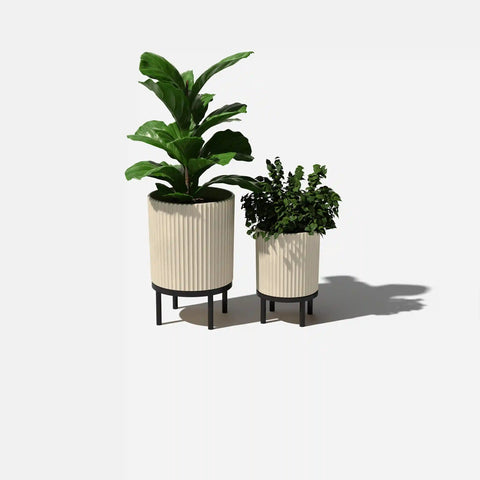 demi raised duo