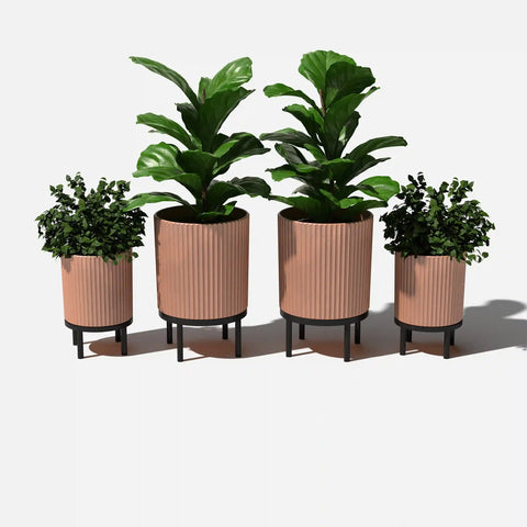 demi raised duo