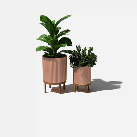 demi raised duo