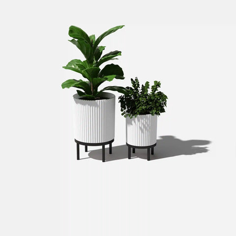 demi raised duo