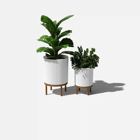 demi raised duo