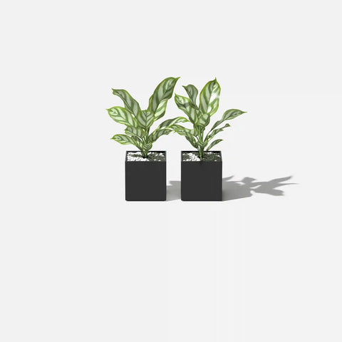 geo cube planter