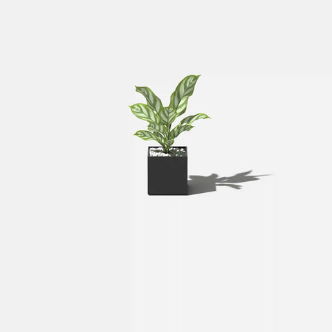 geo cube planter