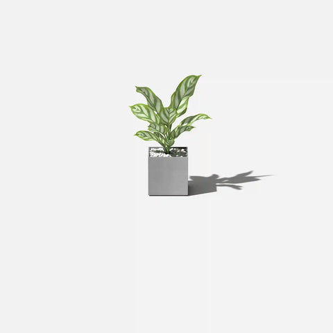 geo cube planter