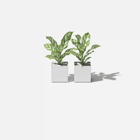 geo cube planter